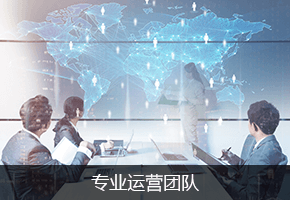 大数据分析及营销服务